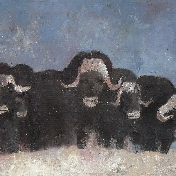 Moschusochsen / 2010 - Acryl auf Leinwand, 100*80 cm